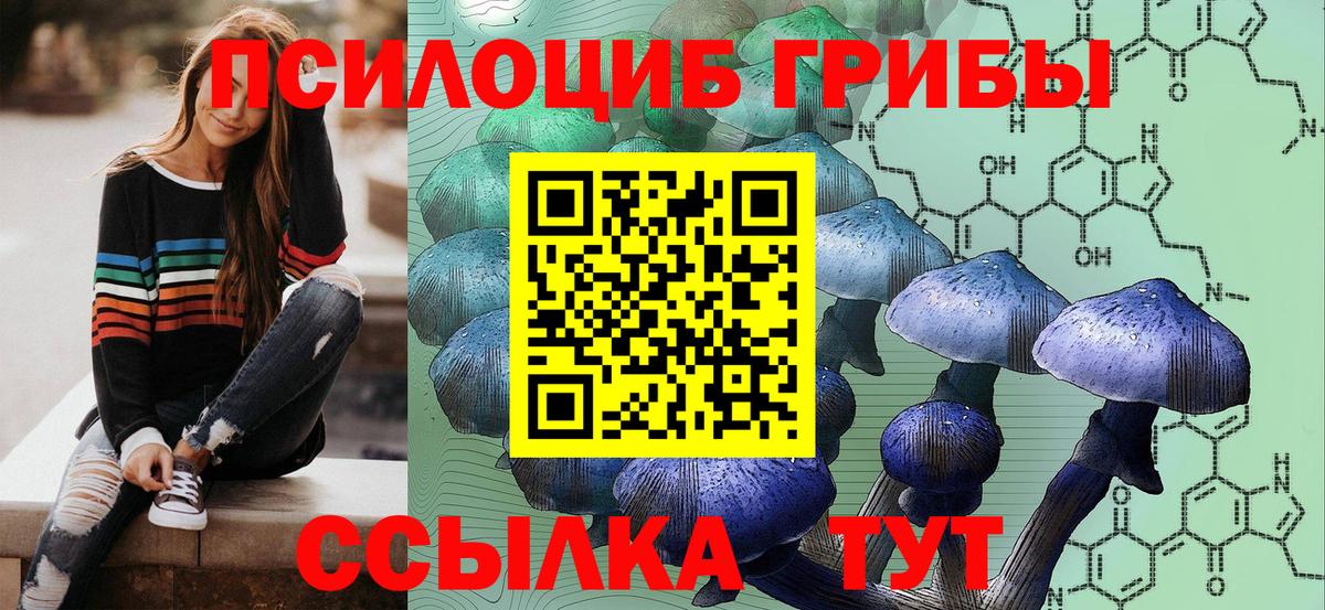 Арзамас  Псилоцибиновые грибы мухоморы  Галлюциногенные грибы Magic Shrooms  Вход с VPN 