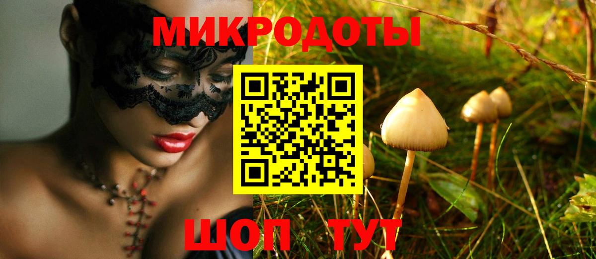 Псилоцибиновые грибы Psilocybine cubensis Арзамас